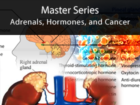 Master Series 2008 Course 1 Adrenals, Hormones, and Cancer