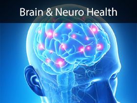 Brain and Neuro Health Medical Lectures