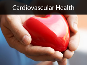 Cardiovascular Health Medical Lectures