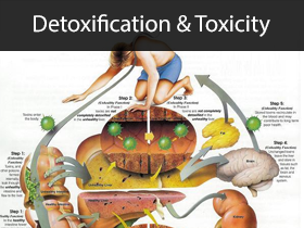 Detoxification and Toxicity Medical Lectures