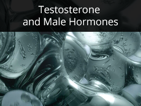 Testosterone and Male Hormones Medical Lectures