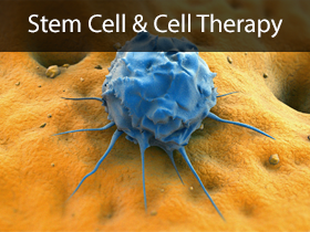 Stem Cell and Cell Therapy Medical Lectures