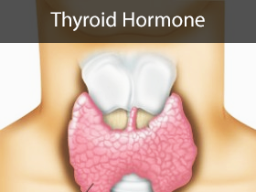 Thyroid Hormone Medical Lectures